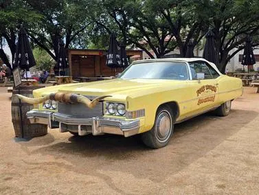 Texas Travel Guide: Iconic cowboy culture and sprawling landscapes of the American frontier.